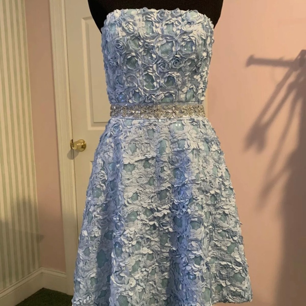 Official Disney Cinderella-Inspired Adult Dress